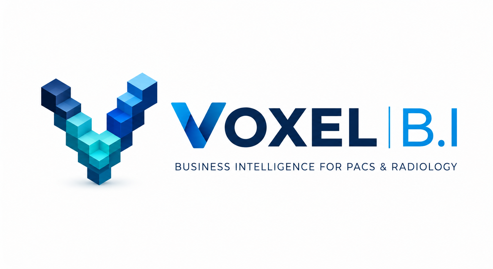 VOXEL B.I — Business Intelligence for PACS & Radiology